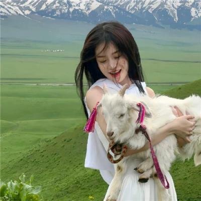 《毛子佩闯宫》海报