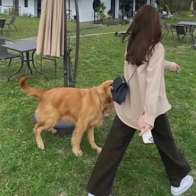 《邪恶的蕾丝莉》海报